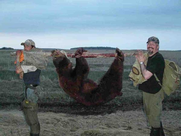 Pole carry a bear